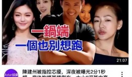 台媒爆料陈建州视频播放,台媒曝陈建州视频播放引发热议