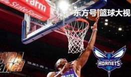 黄蜂爆料乔丹了吗视频播放