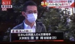 老陈爆料缅北案件视频大全,老陈爆料视频大全深度解析