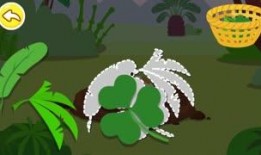 草在线观看,探寻自然之美，感受生命律动