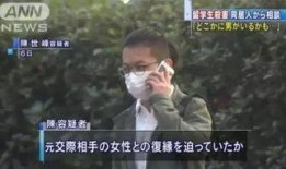 老陈爆料缅北案件视频大全,老陈爆料视频大全深度解析