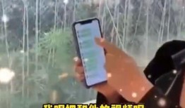 张兰下属爆料视频,张兰下属爆料视频揭露惊人内幕