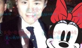 爆料张杰视频在线观看,在线观看引发热议