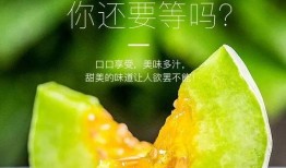 网红有什么瓜吃的好吃呢,揭秘那些让人垂涎欲滴的“网红瓜”