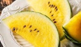 宁波网红陈小姐吃瓜,揭秘幕后真相与网络热议