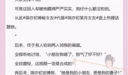 娱乐圈爆料的小说有哪些书名,那些被热议的小说幕后故事