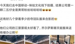 舅舅最新爆料霞蝶,霞蝶背后的神秘力量与传奇故事