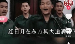 老陈爆料缅北案件视频大全,老陈爆料视频大全深度解析