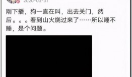 吃瓜娱乐圈打工人,吃瓜日常与职场心酸