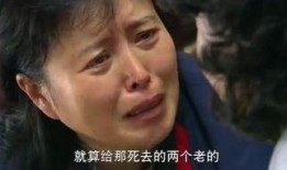 门弟在线观看,揭秘家族荣耀与命运纠葛的在线观看之旅