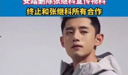 知情人爆料张继科视频,真相与争议背后的体育明星