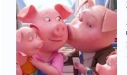 小猪猪爆料视频,幕后真相大曝光！