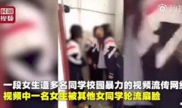 校园女生爆料视频大全,揭秘校园生活那些事儿