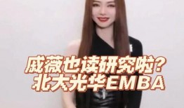 金融女老板爆料视频,视频爆料背后的金融圈风云