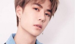 李宏毅哥哥爆料视频,幕后真相大曝光