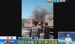 河津最新事件爆料,揭秘背后真相，引发社会关注